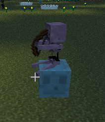 File:Riding blue slime.png