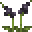 File:Grid Orchid.png