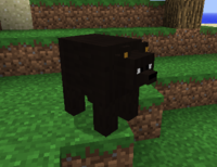 Black bear.png